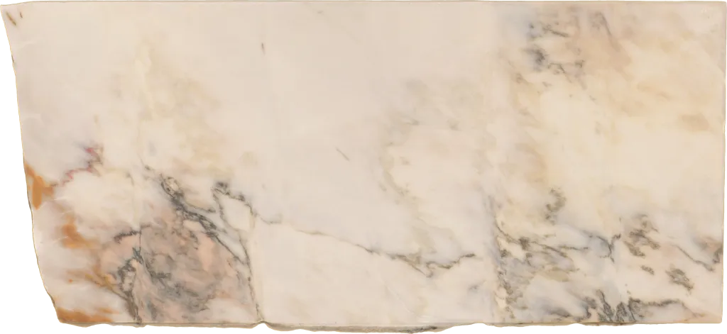 BL24224-001