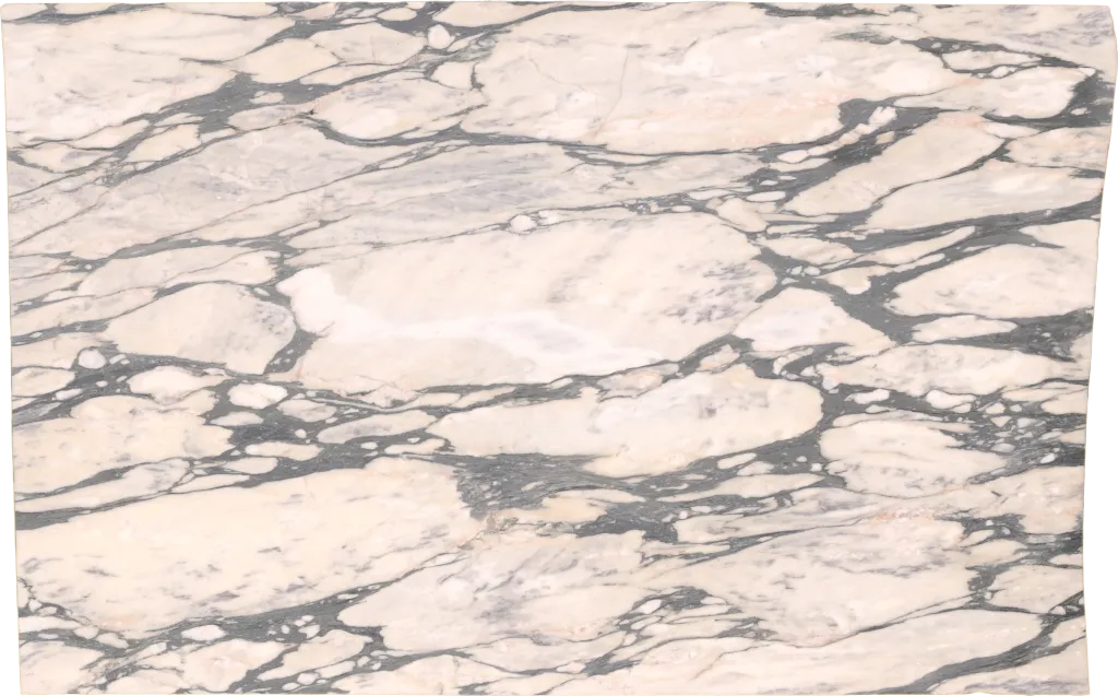 BL24344-008