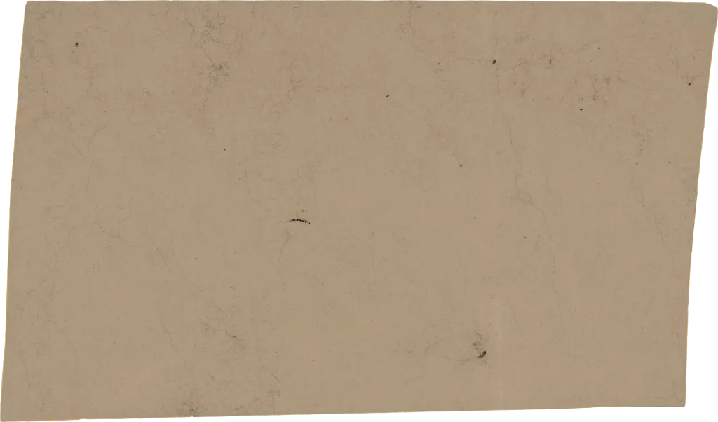 BL24379-011