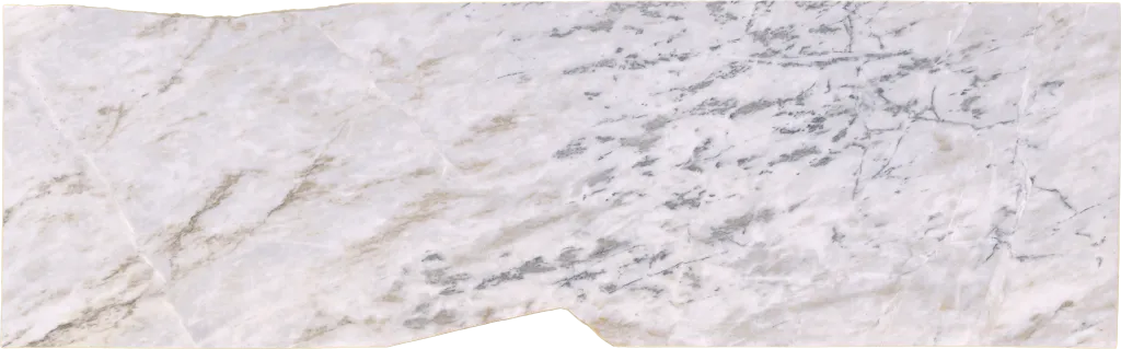CH50088