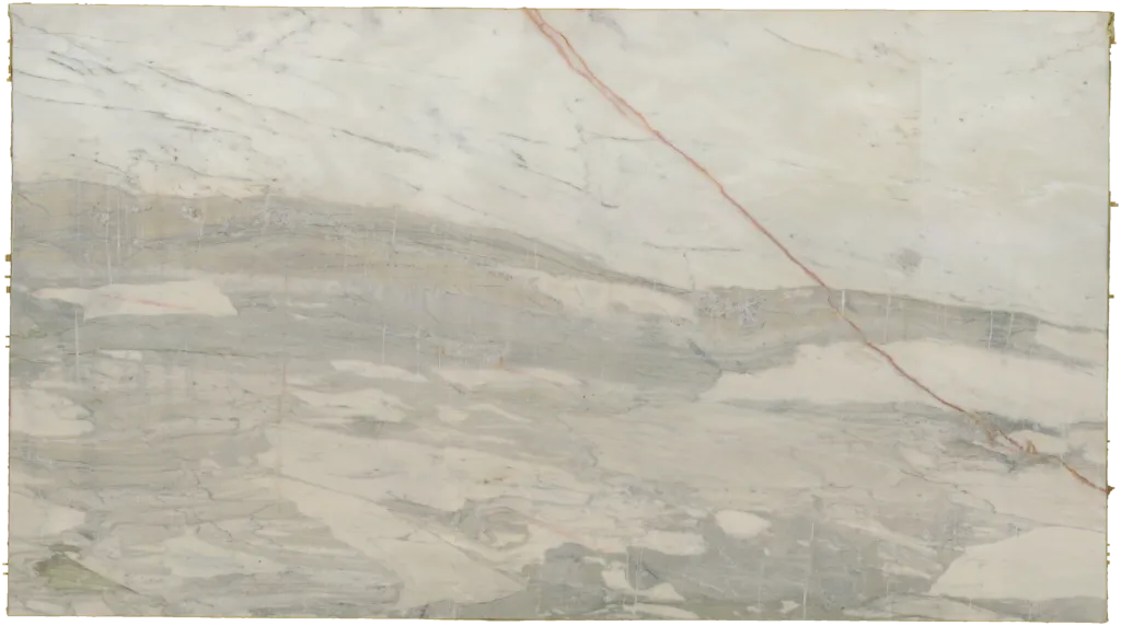 BL24234-013