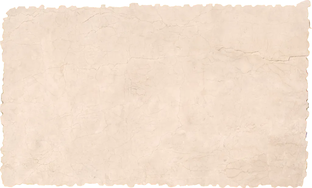 BL24616-007