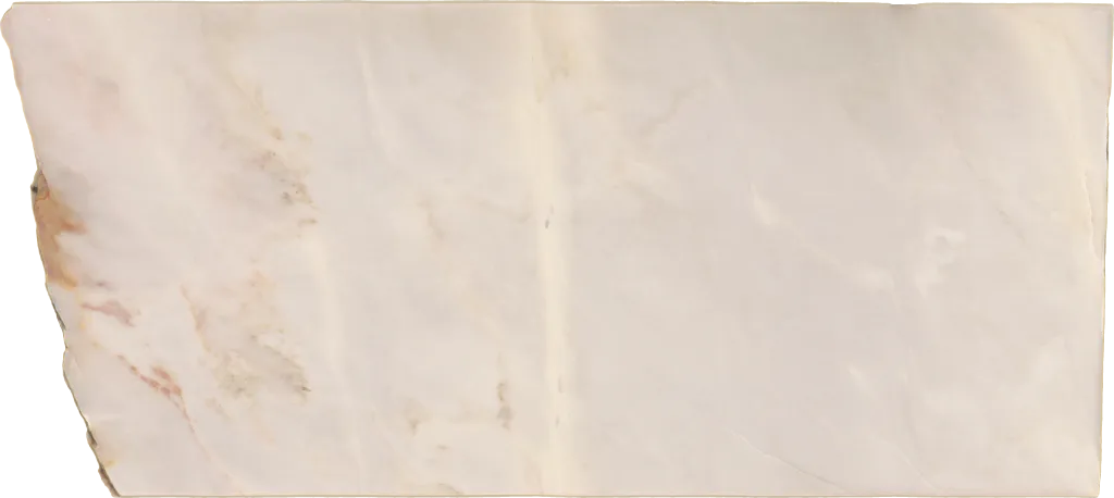 BL24224-007