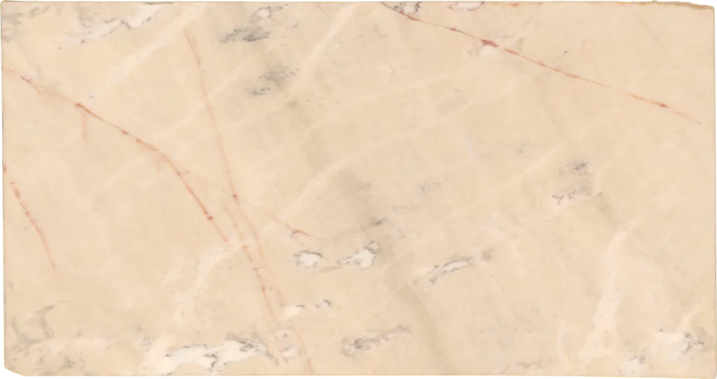 BL24241-017