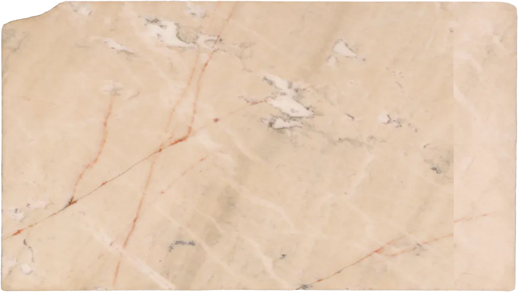 BL24241-011