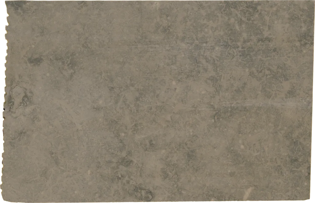 BL24366-006