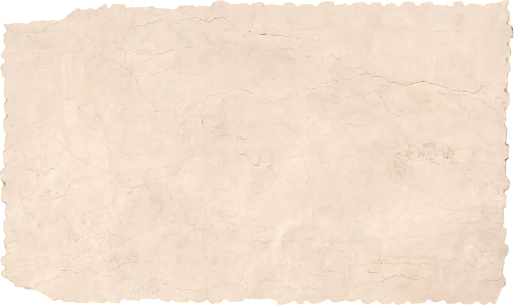 BL24616-011