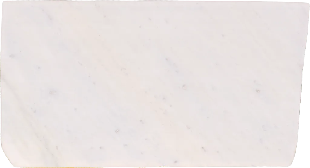 BL24335-010