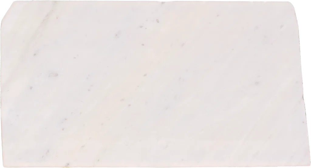 BL24335-009