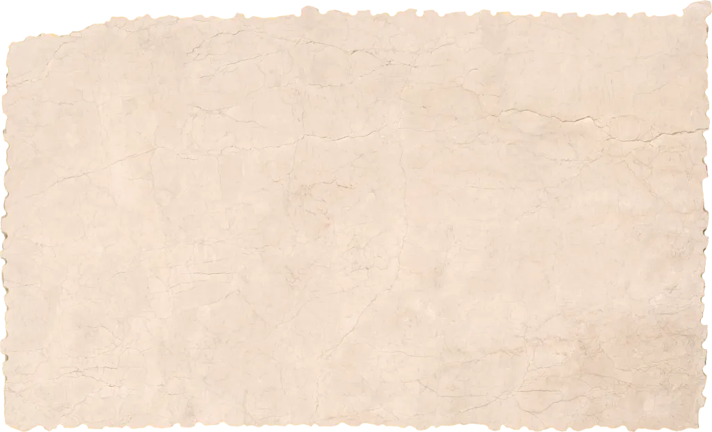 BL24616-005