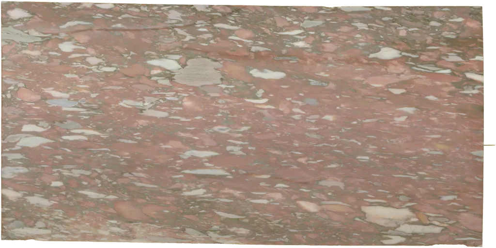 BL24282-010