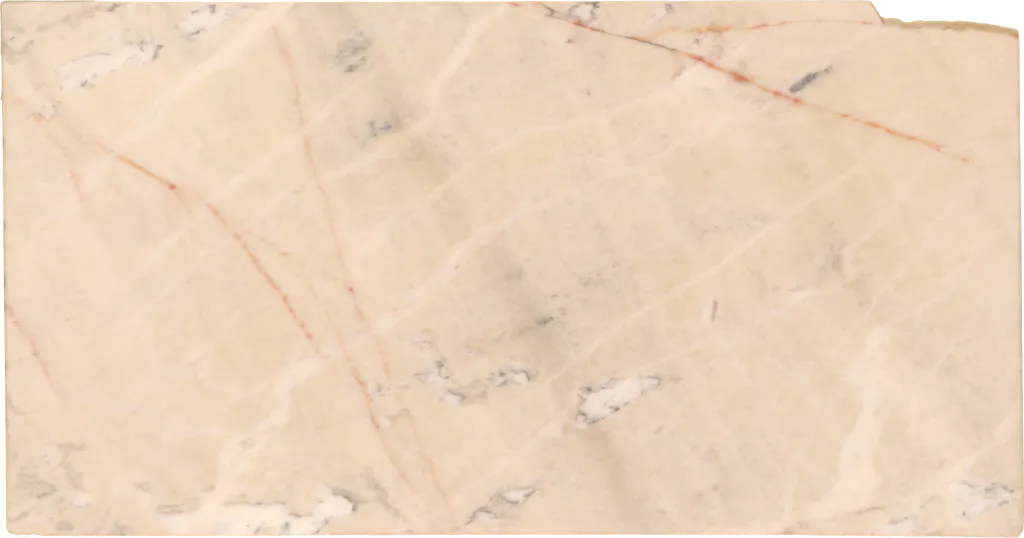 BL24241-019