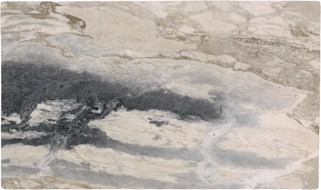 BL24232-001