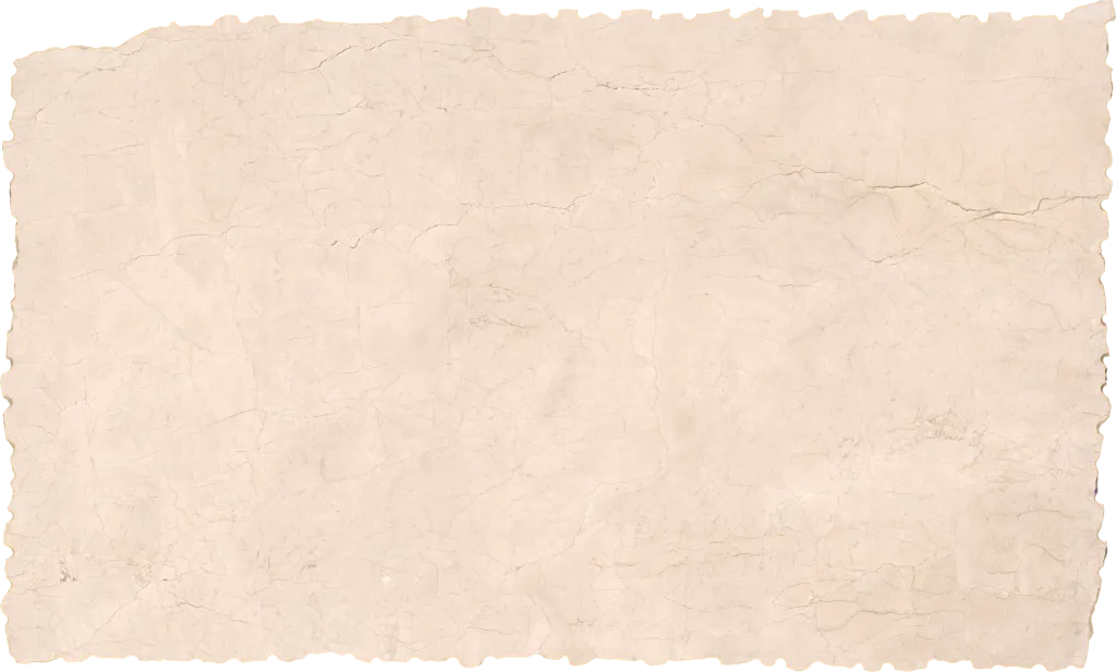 BL24616-008