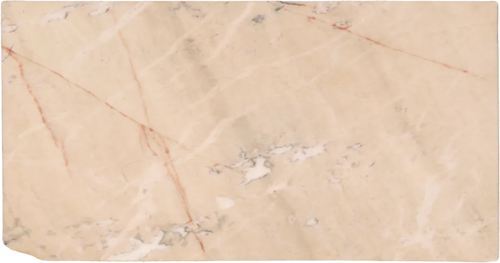 BL24241-013