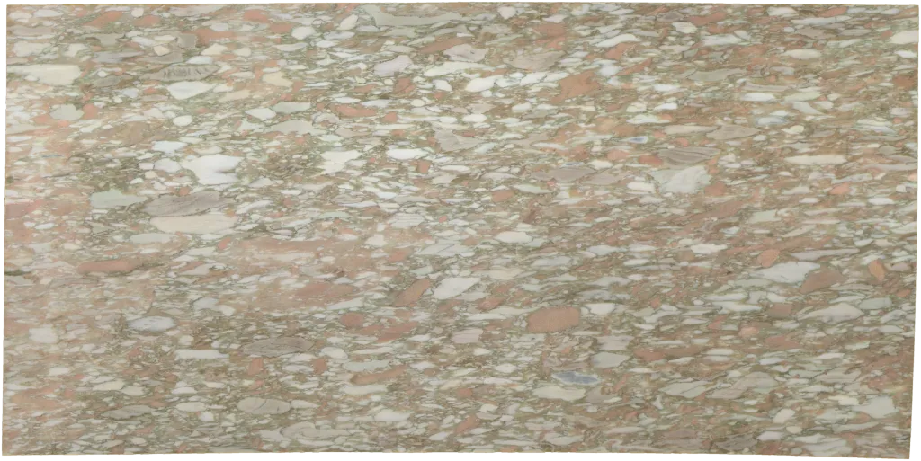 BL24282-005