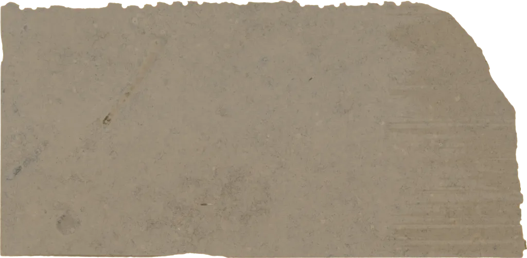 BL24351-004