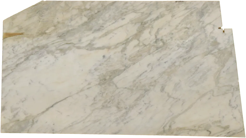 BL24230-011