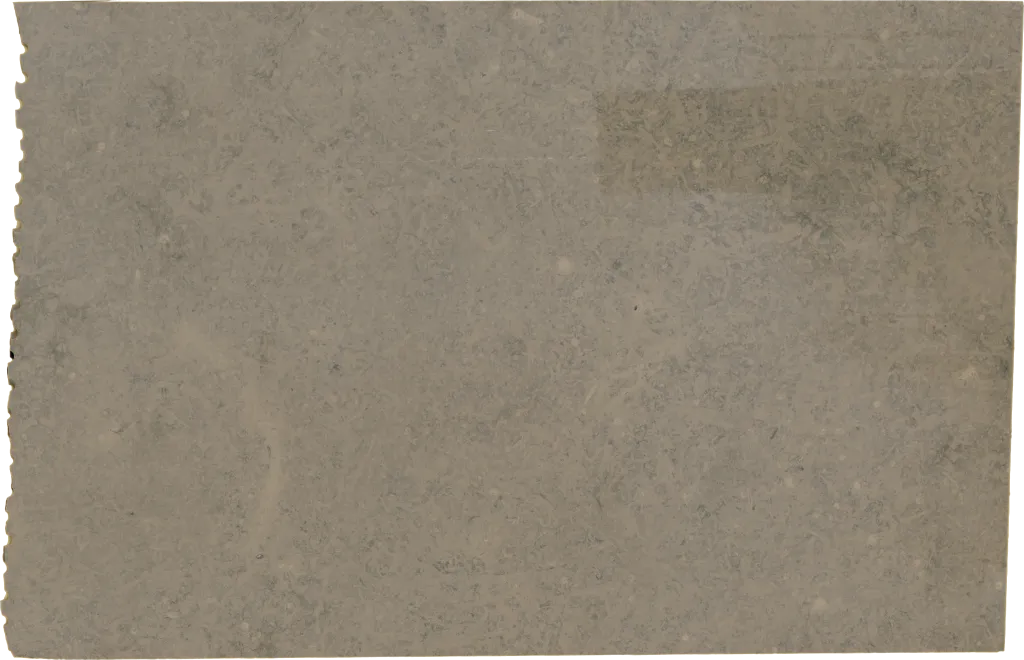 BL24366-005