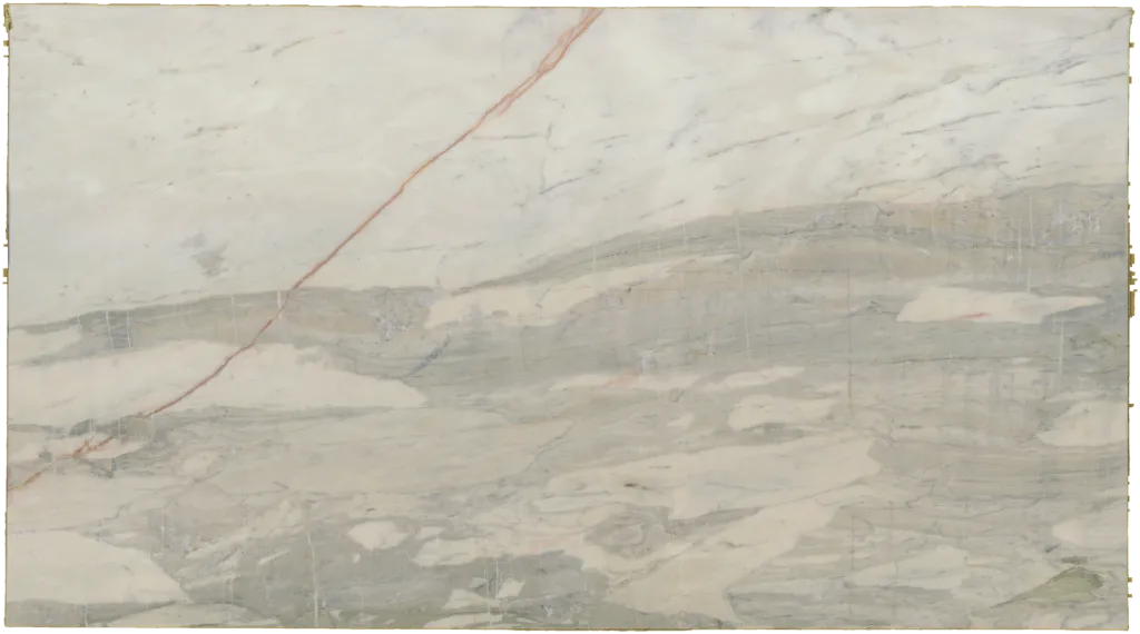 BL24234-011