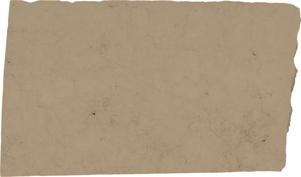 BL24379-008