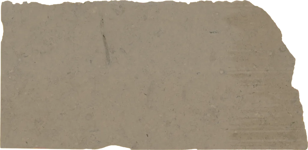 BL24351-002