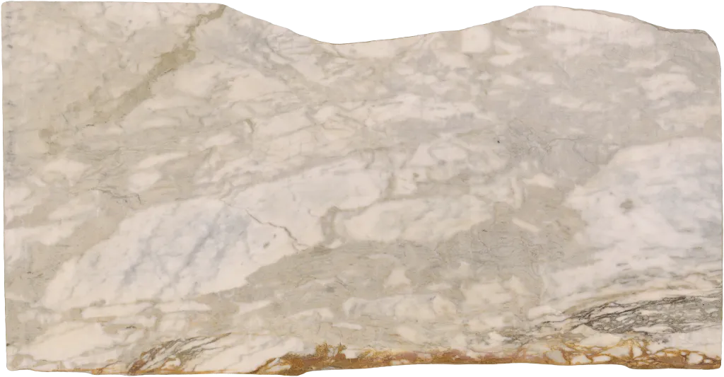 BL24232-004