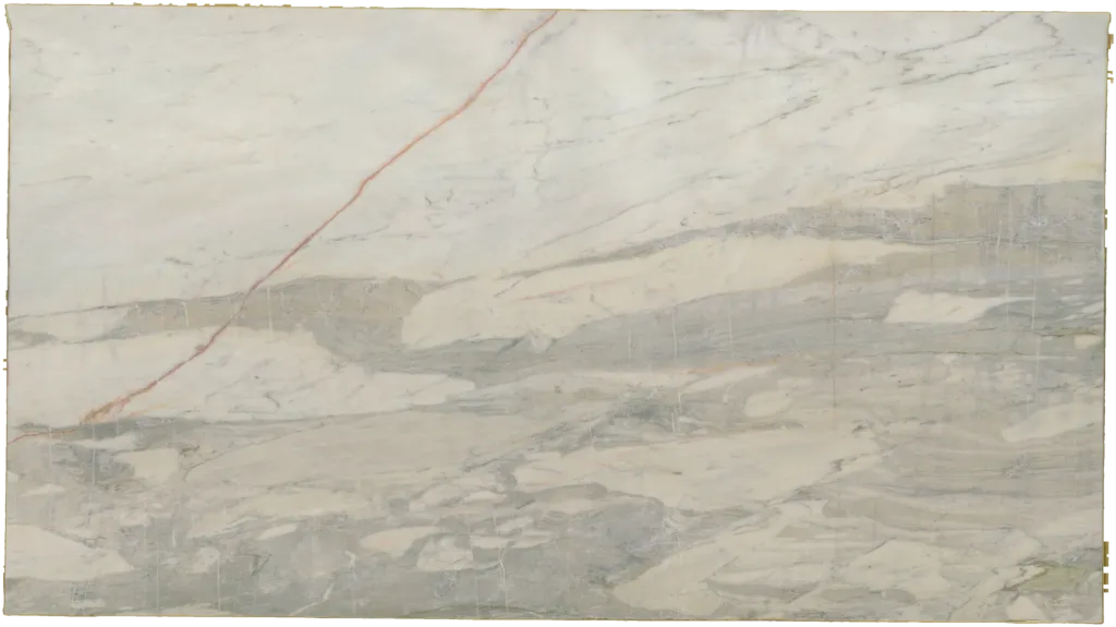 BL24234-009