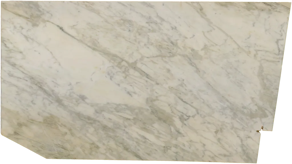 BL24230-009