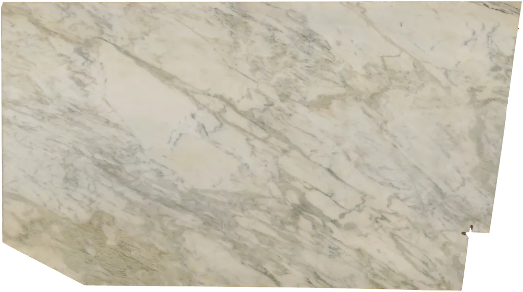 BL24230-008