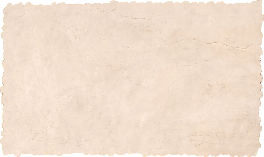 BL24616-010