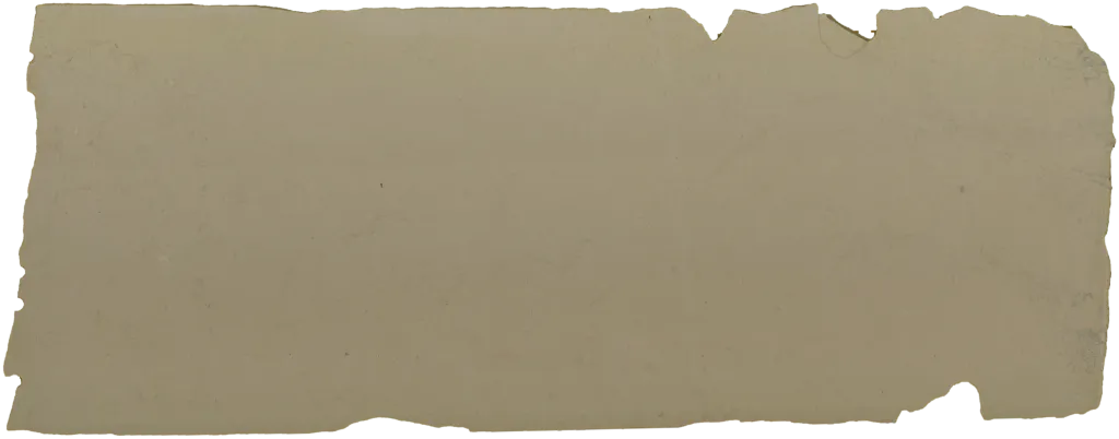 BL24294-001