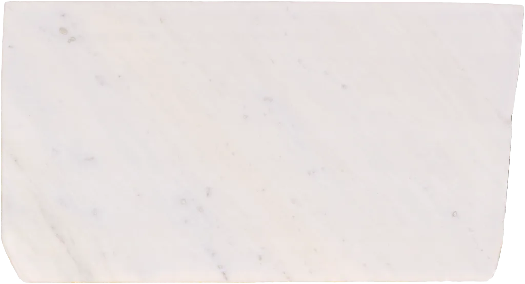 BL24335-008
