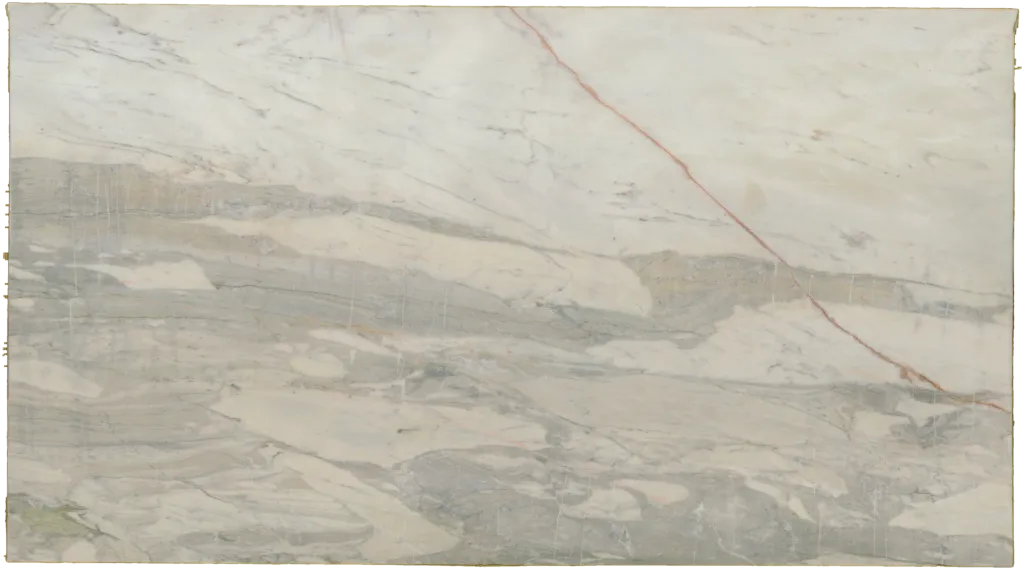 BL24234-010