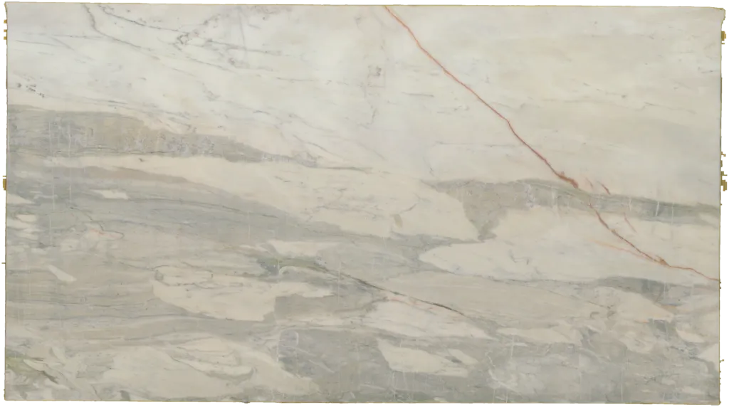 BL24234-008