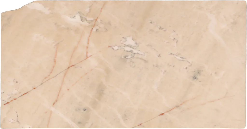 BL24241-009
