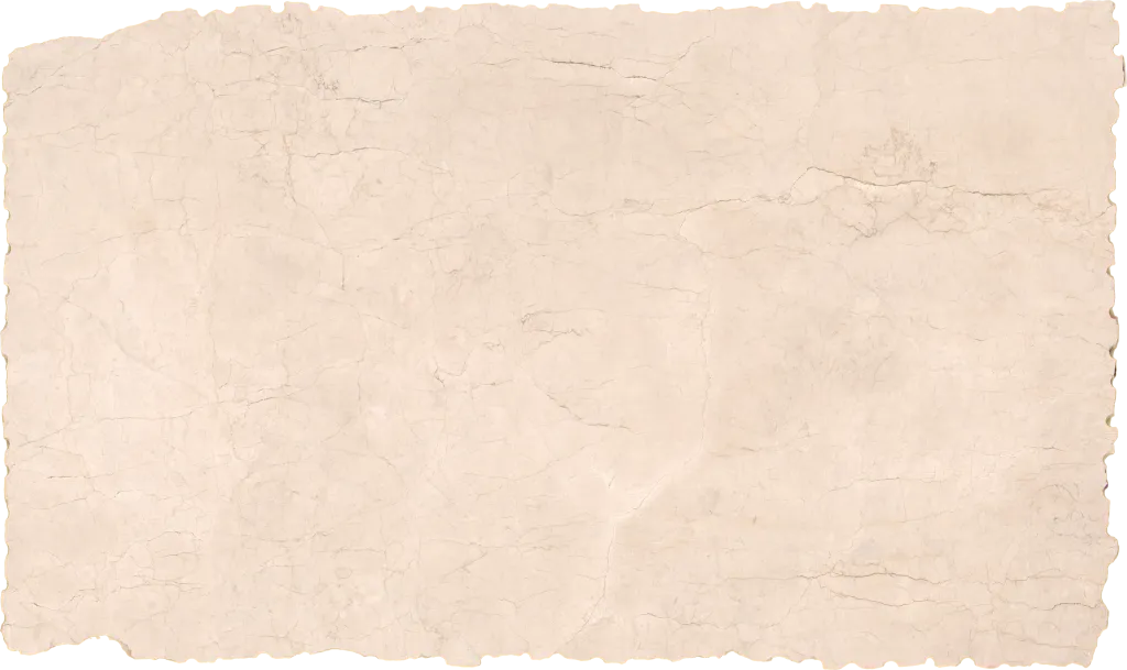 BL24616-015