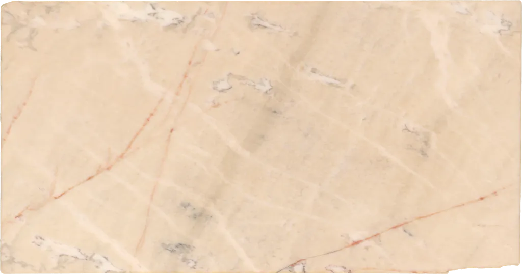 BL24241-018