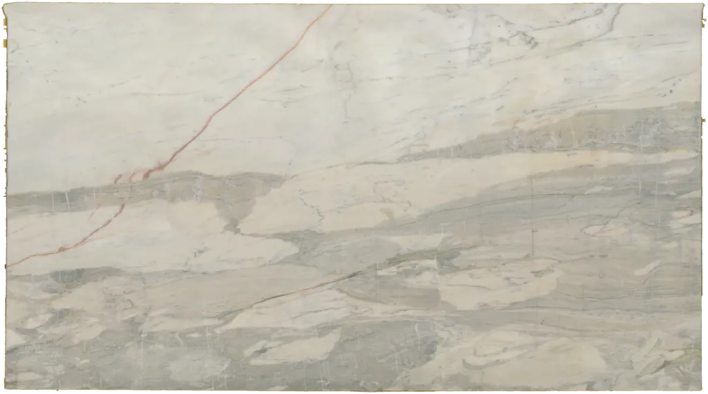 BL24234-007
