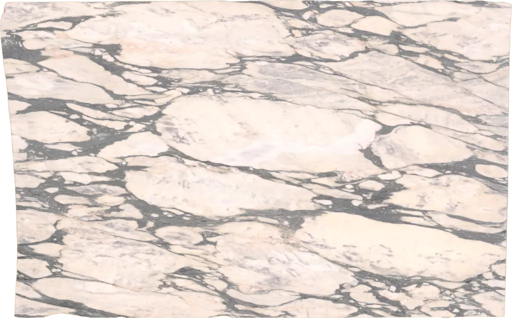 BL24344-007