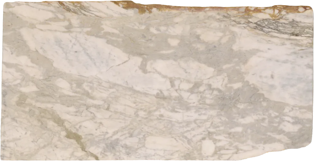BL24232-003