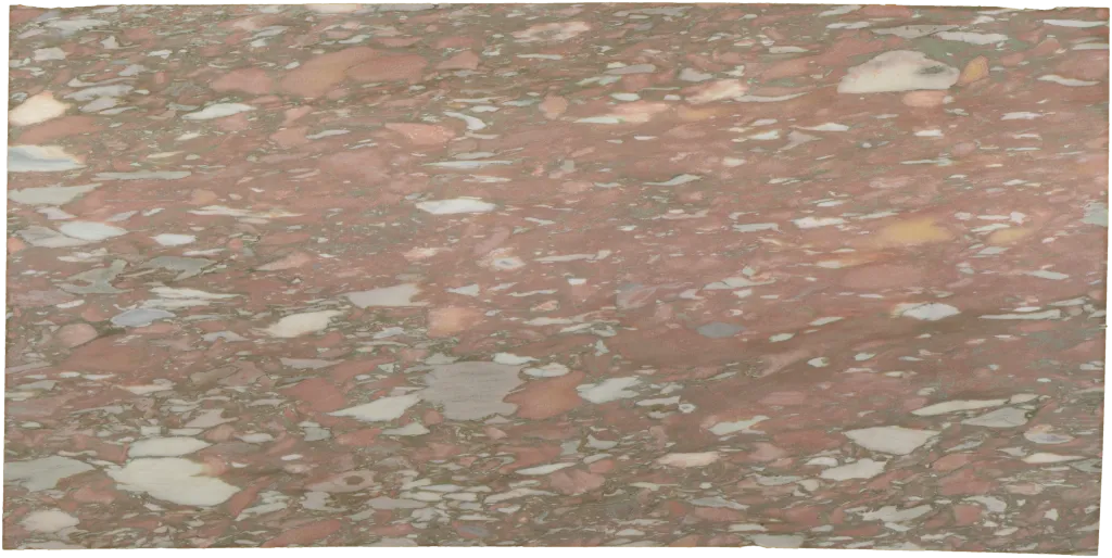 BL24282-011