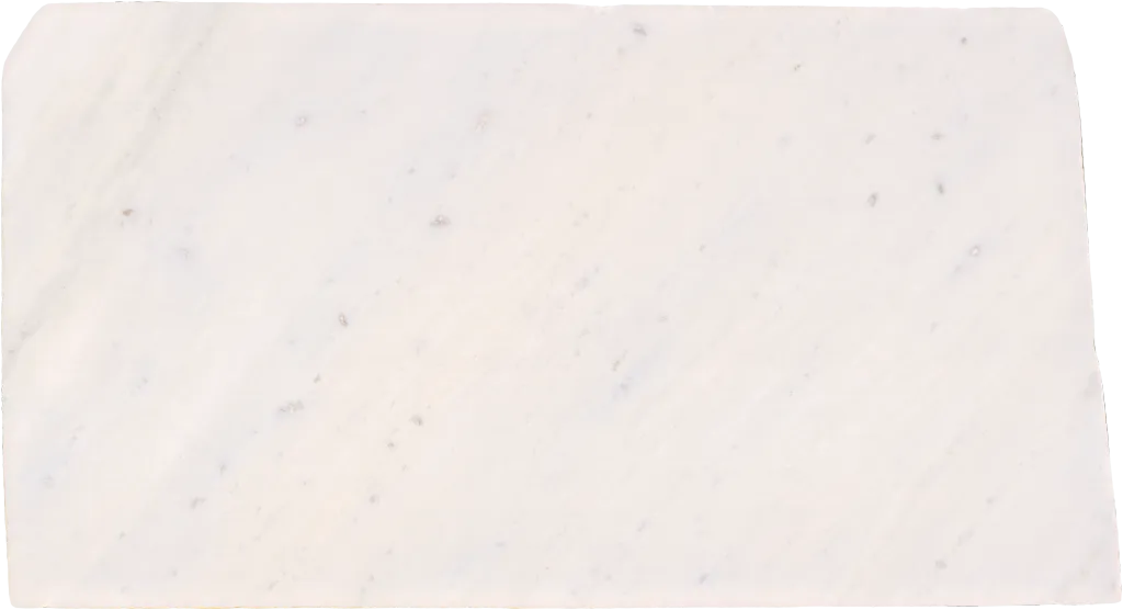BL24335-011