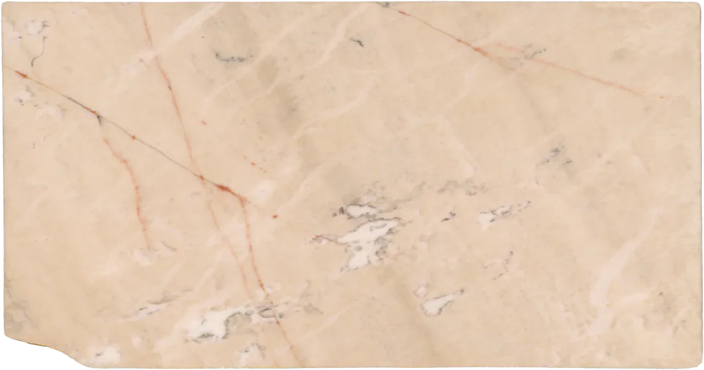 BL24241-010