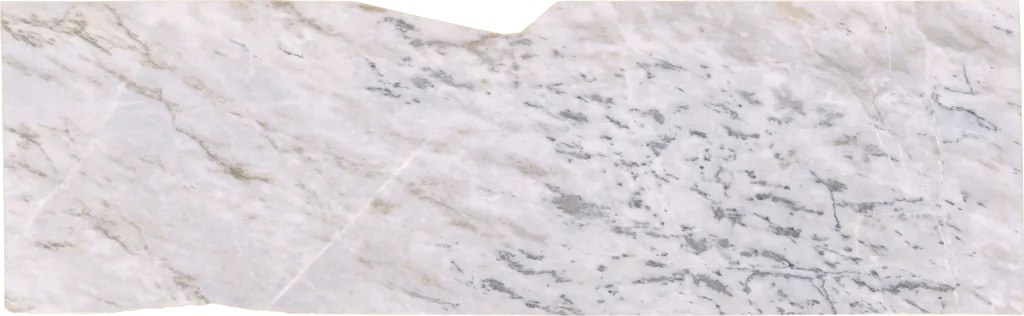 CH50089