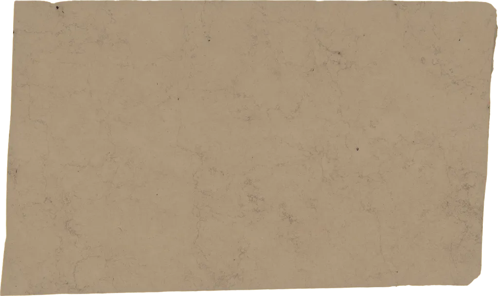 BL24379-009