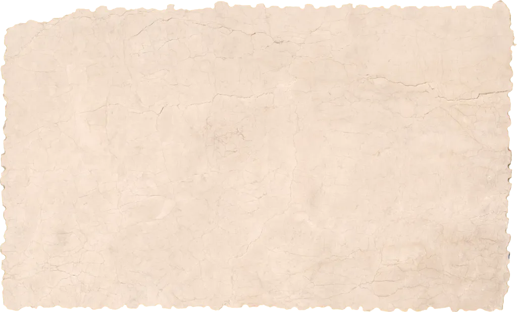 BL24616-006