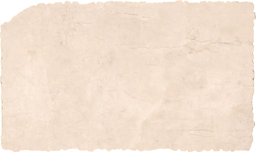 BL24616-016