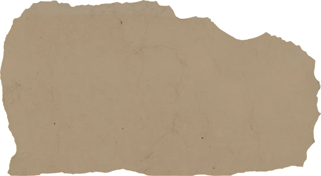 BL24379-001