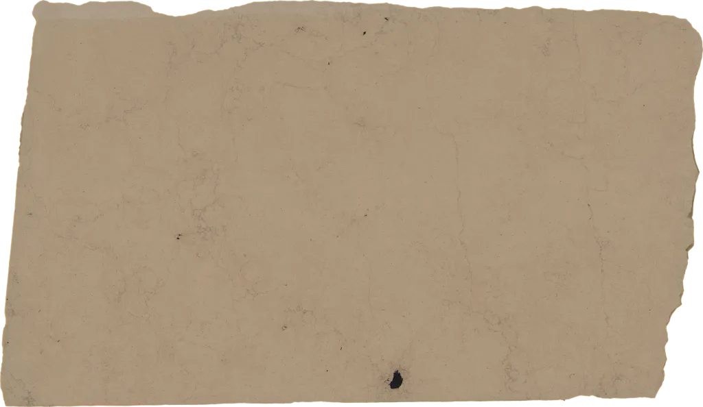 BL24379-007